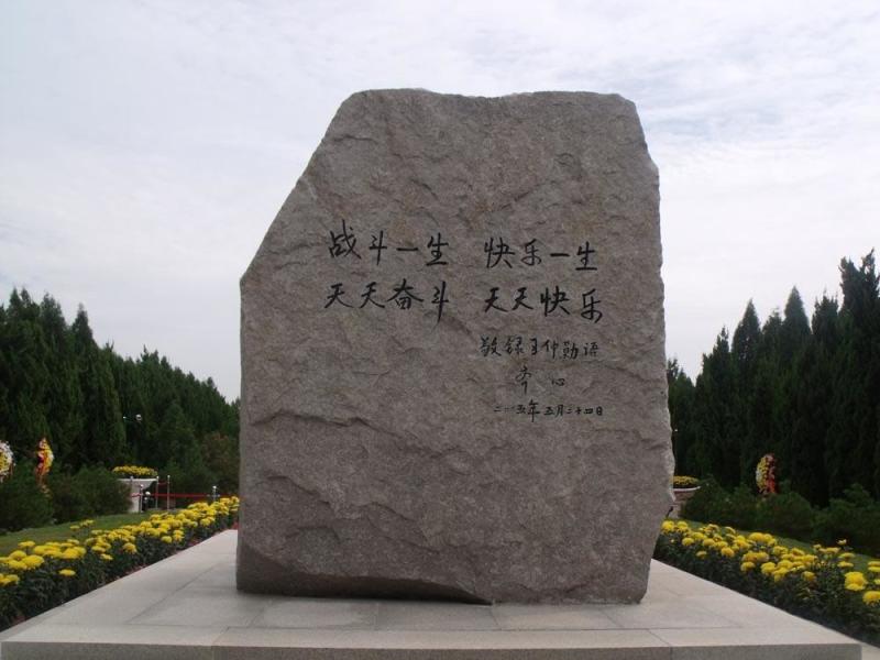 D415